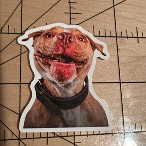 💜13/$13 +Bundle Sticker Sale | Dog Animal Waterproof Sticker